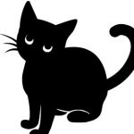 chat noir