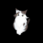 userPhoto