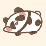 きっこ