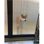 しおりーぬ