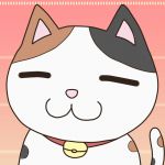 みけ