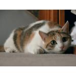 userPhoto