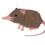 ケツ名刺