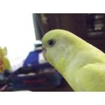 まりまり