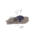 あみるむ