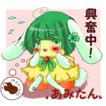 あみたん