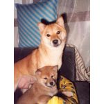 userPhoto