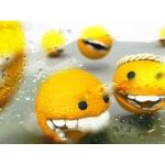 やすひと