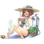 きゃす