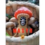 masyu