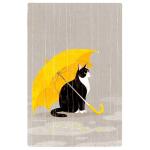 Mr.cat