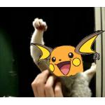 ひもっこり