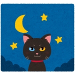 userPhoto