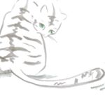 chaton