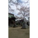 userPhoto