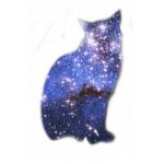 ユーザー画像