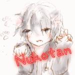 ぬこたん