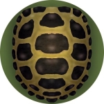 てらしー