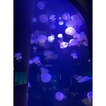 userPhoto