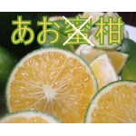 あお蜜柑