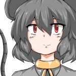 さなみ