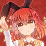 蜂崎コト