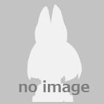 userPhoto