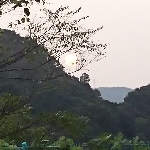 りけい