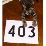 403