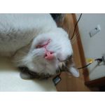 そう。