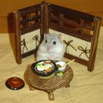ねぎぽん