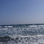 userPhoto