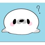 志夜