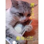 ち～ぼ