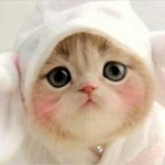 userPhoto