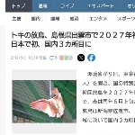 ナギサカ(X垢は永久凍結済み)