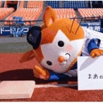 userPhoto