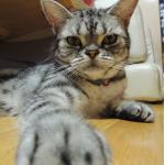 makeおっ