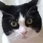 憂鬱な虚無＿＿＿＿＿＿＿＿＿＿＿