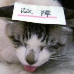 ヤム