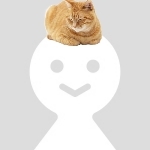 しりかげ