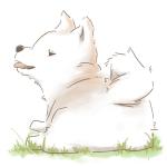 こま