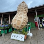 userPhoto