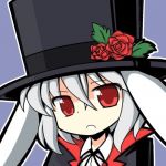 ウサギ公爵