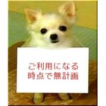 まー忘