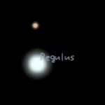 regulus