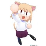 奈良漬