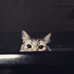 ユーザー画像