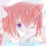 プロフィール更新@シナ