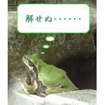 userPhoto